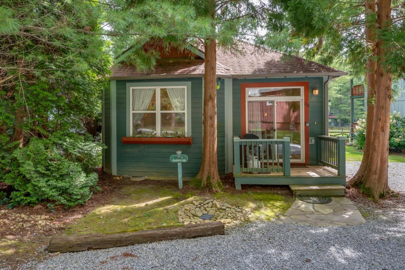 Buttercup Holiday home Asheville