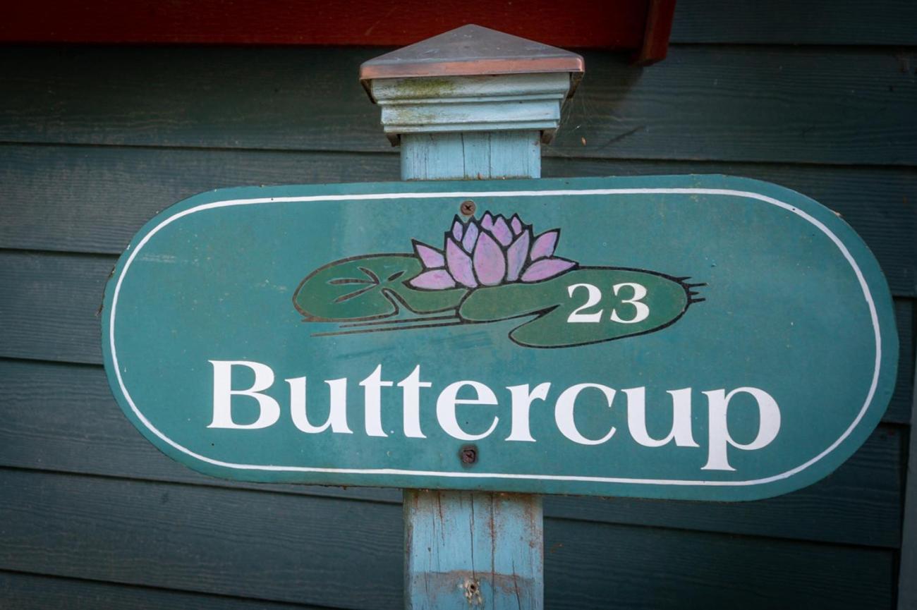 Holiday home Buttercup *