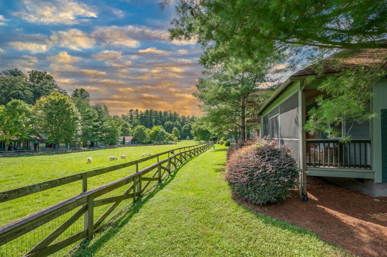 Holiday home Buttercup